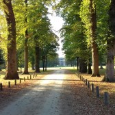 Bomen Huis Doorn.jpg